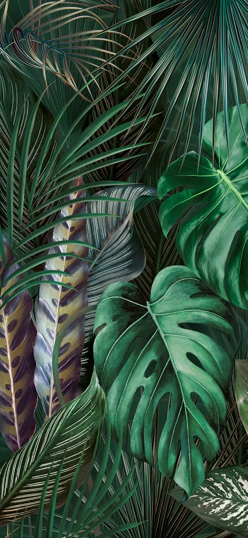 Carrelage Décoratif Mur Effet Panoramique grand format 120x280 motif jungle Arty Boracay I InstaHouse Atelier APE