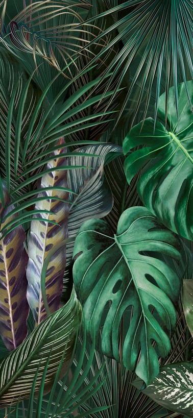Carrelage Décoratif Mur Effet Panoramique grand format 120x280 motif jungle Arty Boracay I InstaHouse Atelier APE